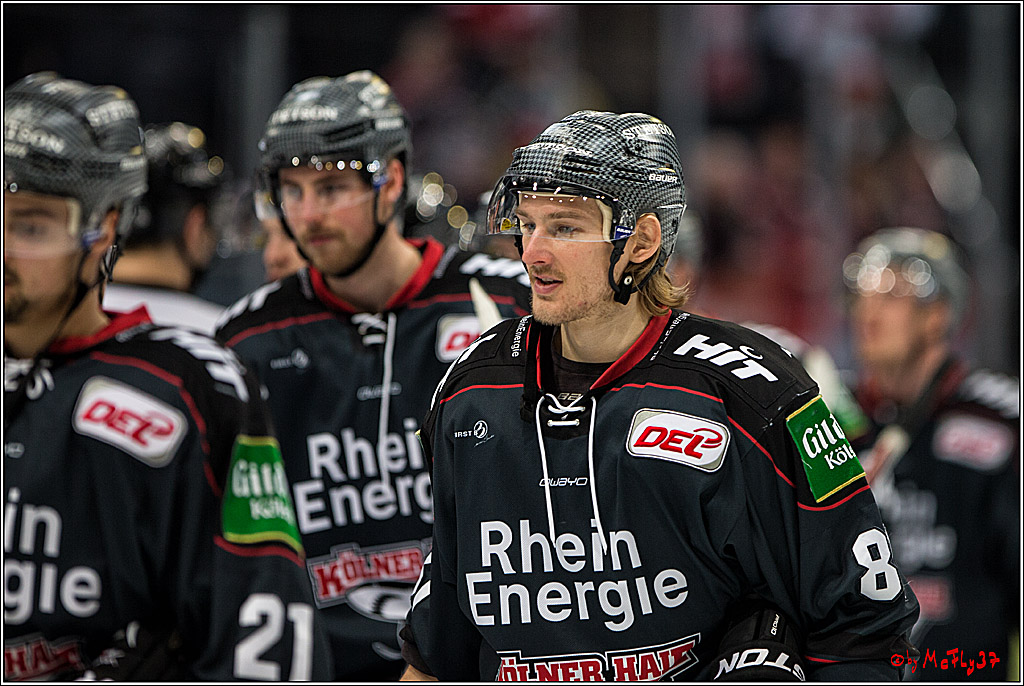 DEL, Koelner Haie - Nuernberg Ice Tiger, 24.01.2017